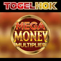 Mega Money Multiplier